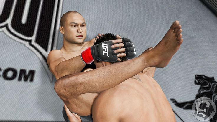 registration code for ufc undisputed 3 pc skidrow